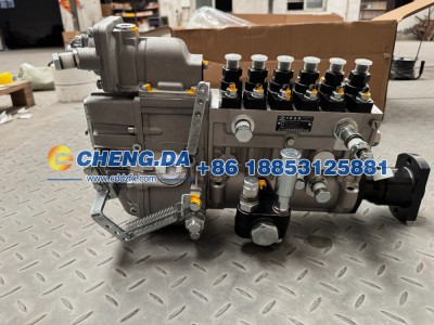612601080249,喷油泵总成 潍柴原厂,山东鼎赞飞行汽车制造有限公司