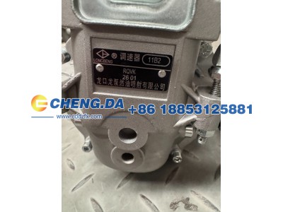 612601080249,喷油泵总成 潍柴原厂,山东鼎赞飞行汽车制造有限公司