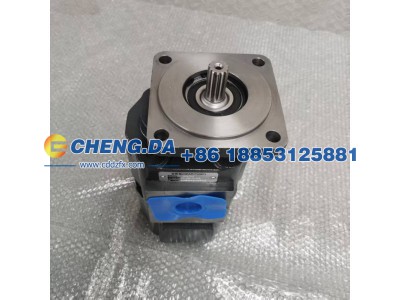 P3100B467AHNG20-14,齿轮泵,山东鼎赞飞行汽车制造有限公司