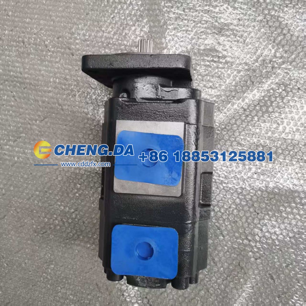 P3100B467AHNG20-14,齿轮泵,山东鼎赞飞行汽车制造有限公司