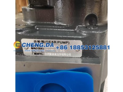 P3100B467AHNG20-14,齿轮泵,山东鼎赞飞行汽车制造有限公司