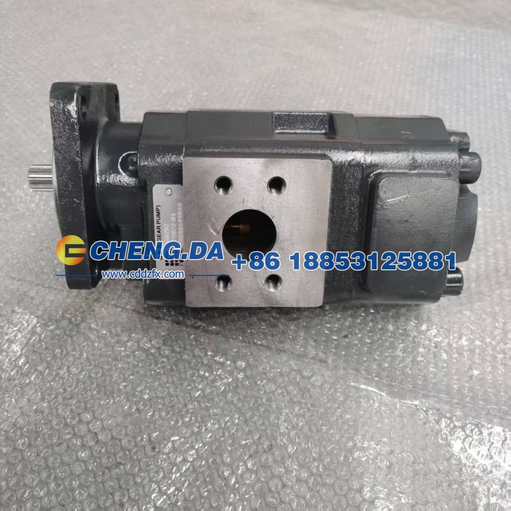 P3100B467AHNG20-14,齿轮泵,山东鼎赞飞行汽车制造有限公司