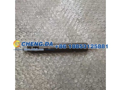 VG1095080085,喷油器总成 EGR-2气门,山东鼎赞飞行汽车制造有限公司