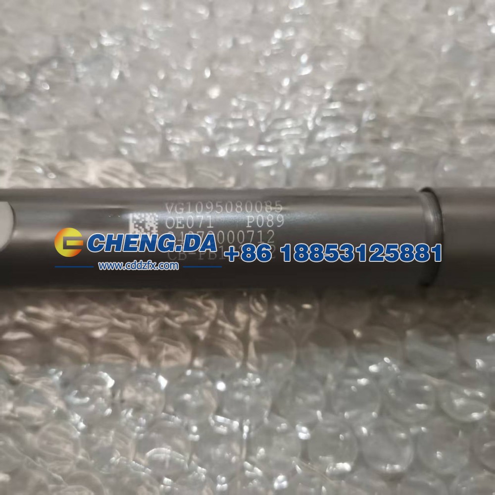 VG1095080085,喷油器总成 EGR-2气门,山东鼎赞飞行汽车制造有限公司