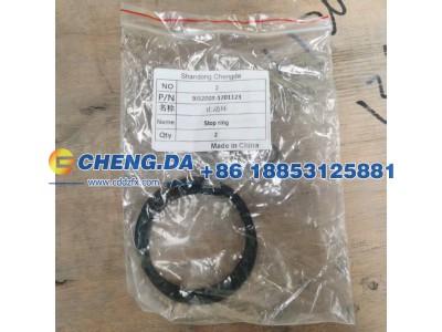 9JS200T-1701123,止动环,山东鼎赞飞行汽车制造有限公司