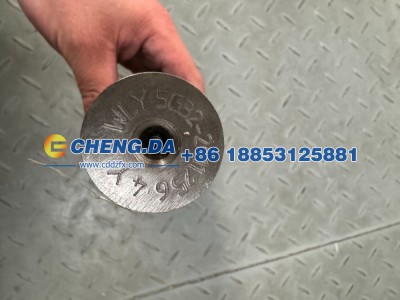 LVBV3JBBXRY003202,中间齿轮轴总成,山东鼎赞飞行汽车制造有限公司
