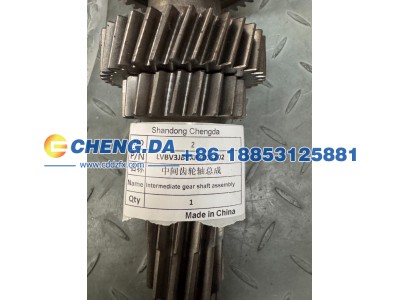 LVBV3JBBXRY003202,中间齿轮轴总成,山东鼎赞飞行汽车制造有限公司
