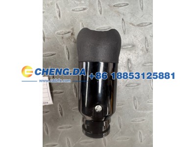 LVBV6PEC0JH500035,换挡手柄球,山东鼎赞飞行汽车制造有限公司