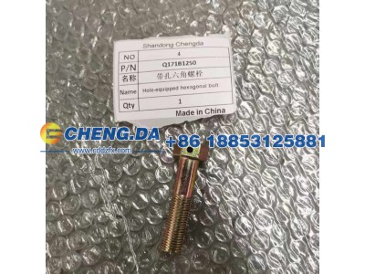 Q171B1250,带孔六角螺栓 副厂,山东鼎赞飞行汽车制造有限公司