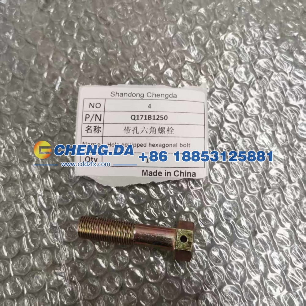 Q171B1250带孔六角螺栓 副厂