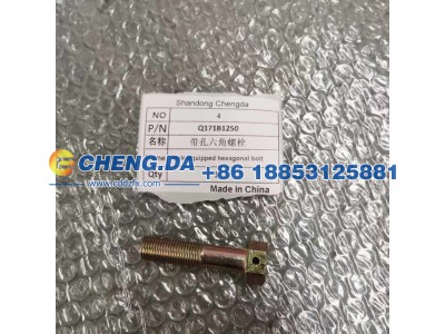 Q171B1250,带孔六角螺栓 副厂,山东鼎赞飞行汽车制造有限公司