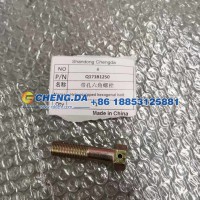 Q171B1250带孔六角螺栓 副厂