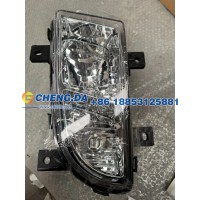 WG9719720025防雾灯(左）豪沃10款 24V