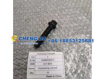 610800030075,连杆螺栓（配套）,山东鼎赞飞行汽车制造有限公司