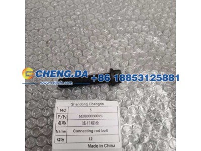 610800030075,连杆螺栓（配套）,山东鼎赞飞行汽车制造有限公司