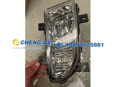 WG9719720026,防雾灯(右）豪沃10款 24V,山东鼎赞飞行汽车制造有限公司