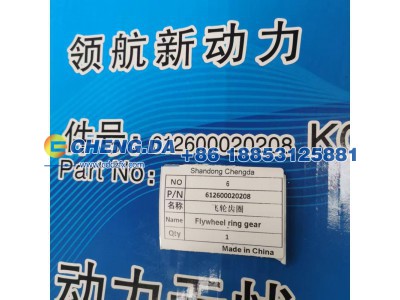 612600020208,飞轮齿圈,山东鼎赞飞行汽车制造有限公司