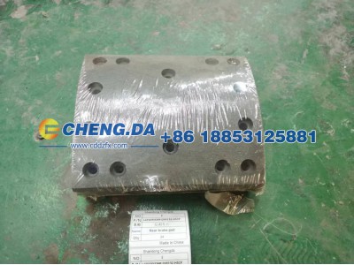 LZZ5EXVD6PJ268132-HSCP,后刹车片,山东鼎赞飞行汽车制造有限公司