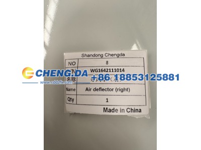 WG1642111014,导风罩（右）豪沃10款,山东鼎赞飞行汽车制造有限公司