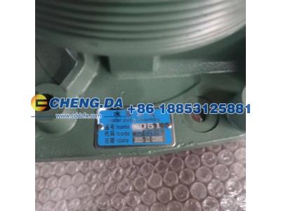 VG1500060051,水泵总成,山东鼎赞飞行汽车制造有限公司