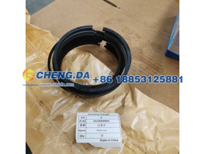 VG1560030050,活塞环,山东鼎赞飞行汽车制造有限公司