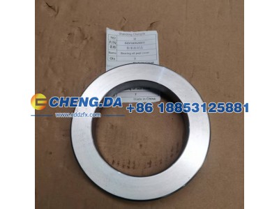DZ97319520801,轴承油封盖,山东鼎赞飞行汽车制造有限公司