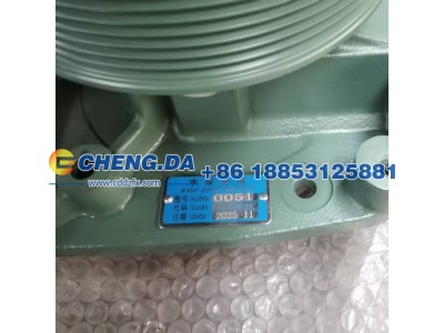 VG1500060051,水泵,山东鼎赞飞行汽车制造有限公司