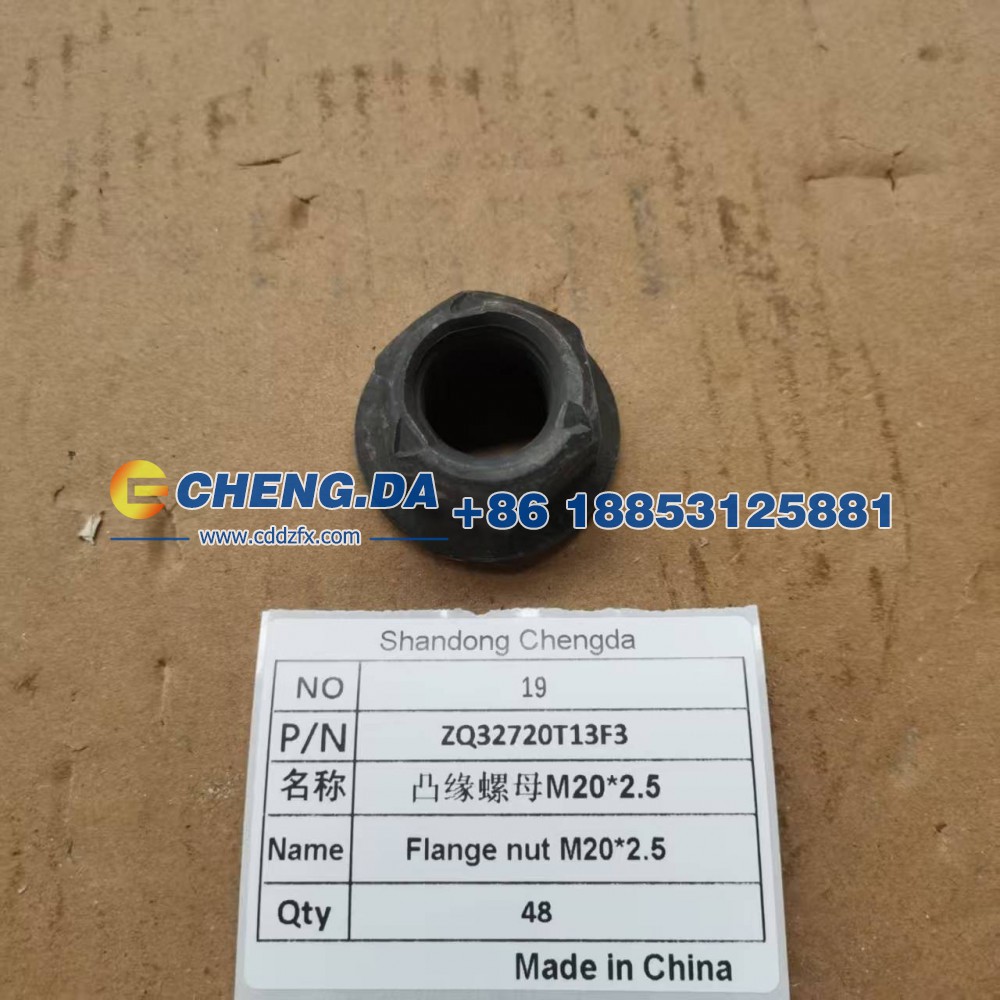 ZQ32720T13F3,凸缘螺母M20-2.5,山东鼎赞飞行汽车制造有限公司