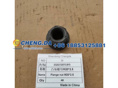 ZQ32720T13F3,凸缘螺母M20-2.5,山东鼎赞飞行汽车制造有限公司