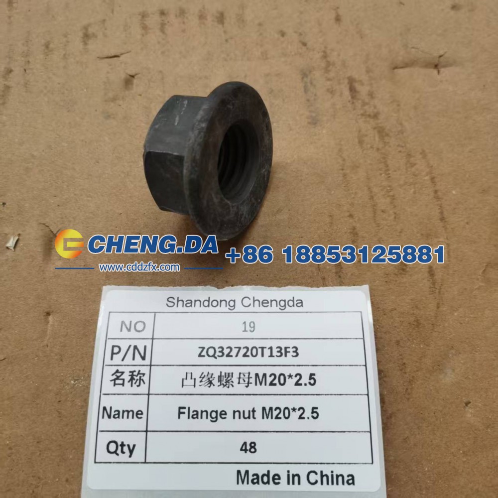 ZQ32720T13F3,凸缘螺母M20-2.5,山东鼎赞飞行汽车制造有限公司