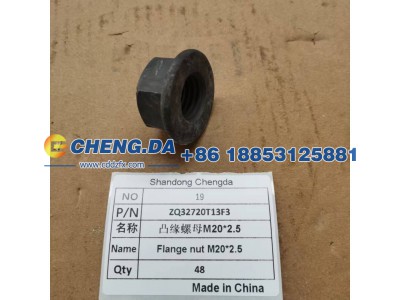 ZQ32720T13F3,凸缘螺母M20-2.5,山东鼎赞飞行汽车制造有限公司