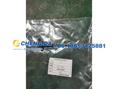 ,气门（进）,山东鼎赞飞行汽车制造有限公司