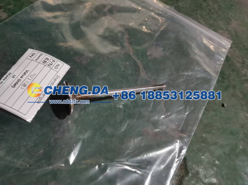 ,气门（进）,山东鼎赞飞行汽车制造有限公司