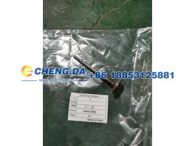 ,气门（进）,山东鼎赞飞行汽车制造有限公司