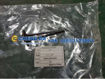 ,气门（排）,山东鼎赞飞行汽车制造有限公司