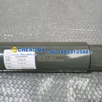 WG9925680028前减振器
