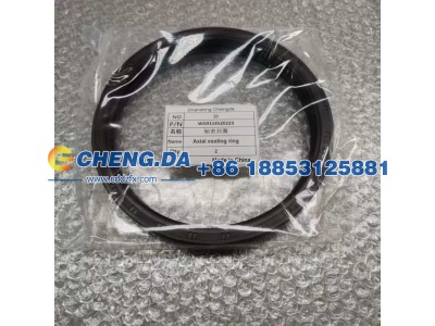 WG9114520223,轴密封圈,山东鼎赞飞行汽车制造有限公司