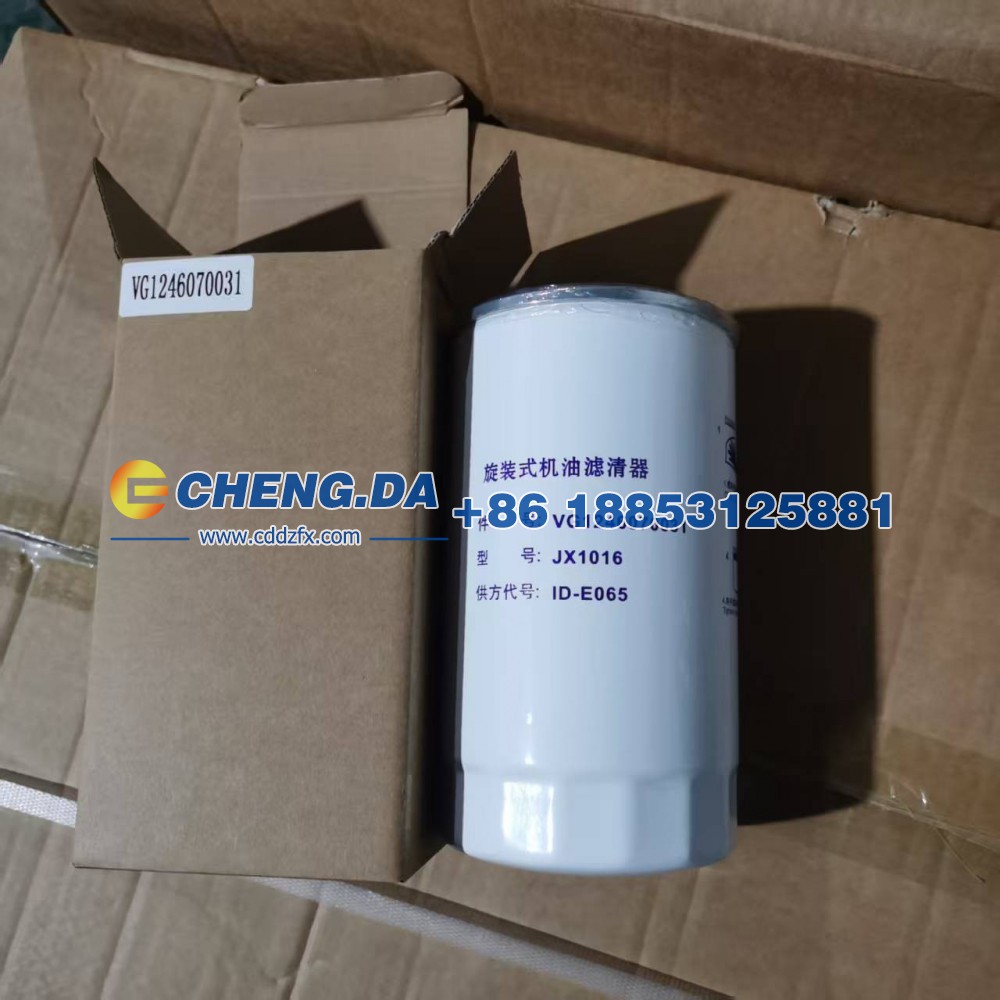 VG1246070031机油滤清器芯/VG1246070031