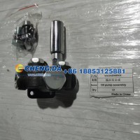 VG1242088004输油泵总成
