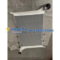 WG9719530280HOWO大马力中冷器总成