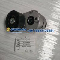 VG1246060005涨紧轮总成