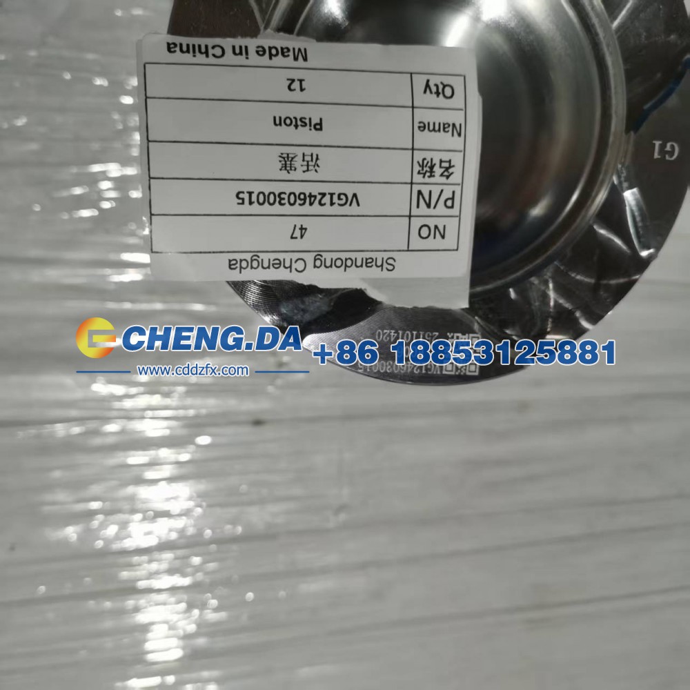 VG1246030015活塞/VG1246030015
