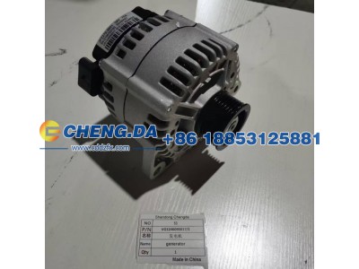 VG1246090017-1,发电机,山东鼎赞飞行汽车制造有限公司