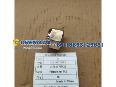 ZQ32722T13F3,凸缘螺母M22,山东鼎赞飞行汽车制造有限公司