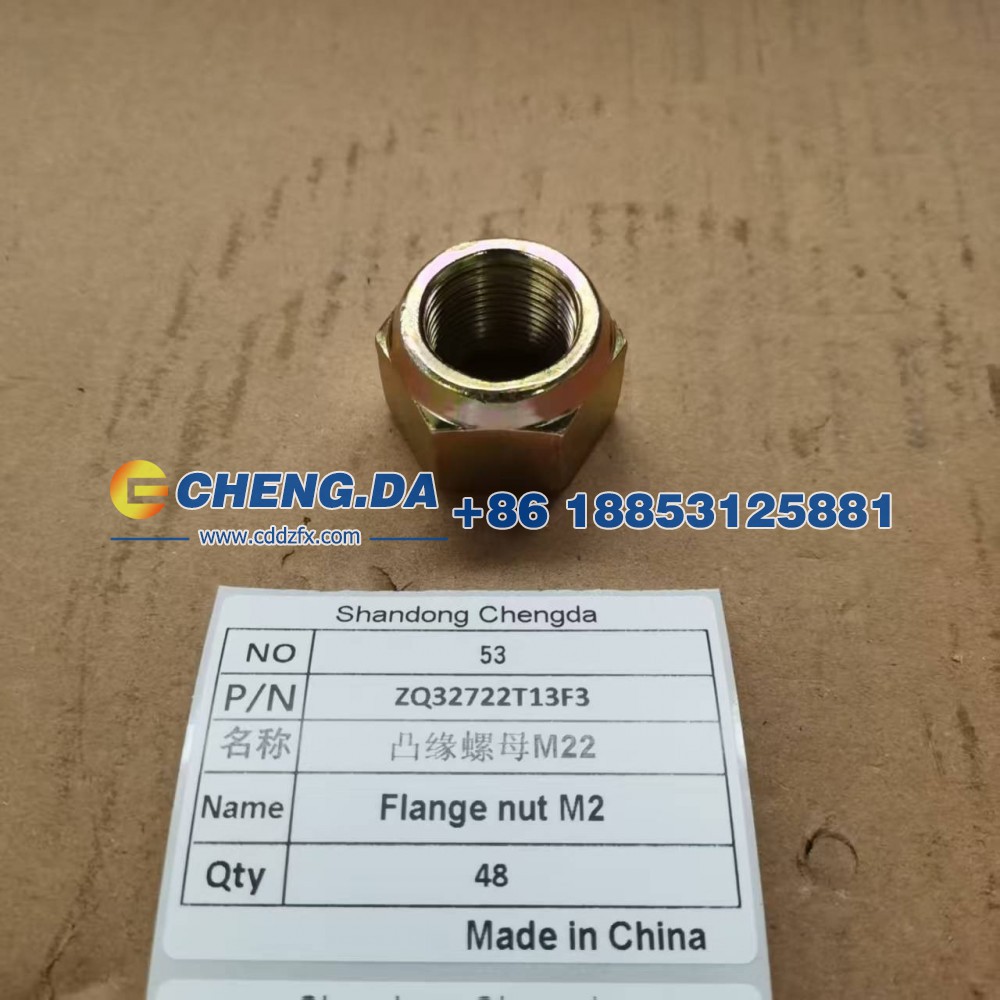 ZQ32722T13F3,凸缘螺母M22,山东鼎赞飞行汽车制造有限公司