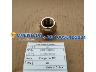 ZQ32722T13F3,凸缘螺母M22,山东鼎赞飞行汽车制造有限公司