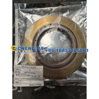WG7117329017油封总成85-105-18一体
