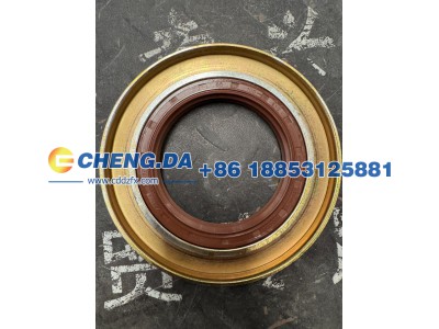 WG7117329017,油封总成85-105-18一体,山东鼎赞飞行汽车制造有限公司