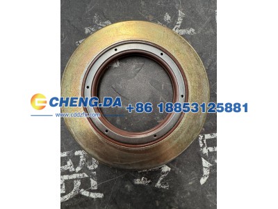 WG7117329017,油封总成85-105-18一体,山东鼎赞飞行汽车制造有限公司