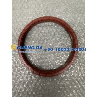 WG9003074387前轮油封